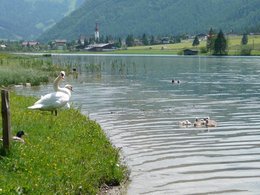 Appartement Pillersee Санкт-Ульрих-ам-Пиллерзее Экстерьер фото
